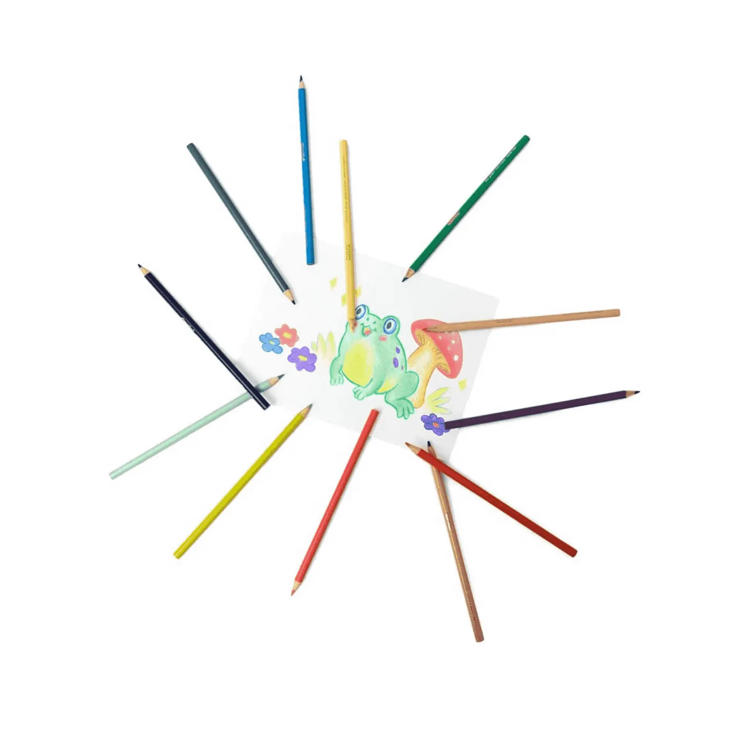 12 Lápices de Colores Pastel, Crayola