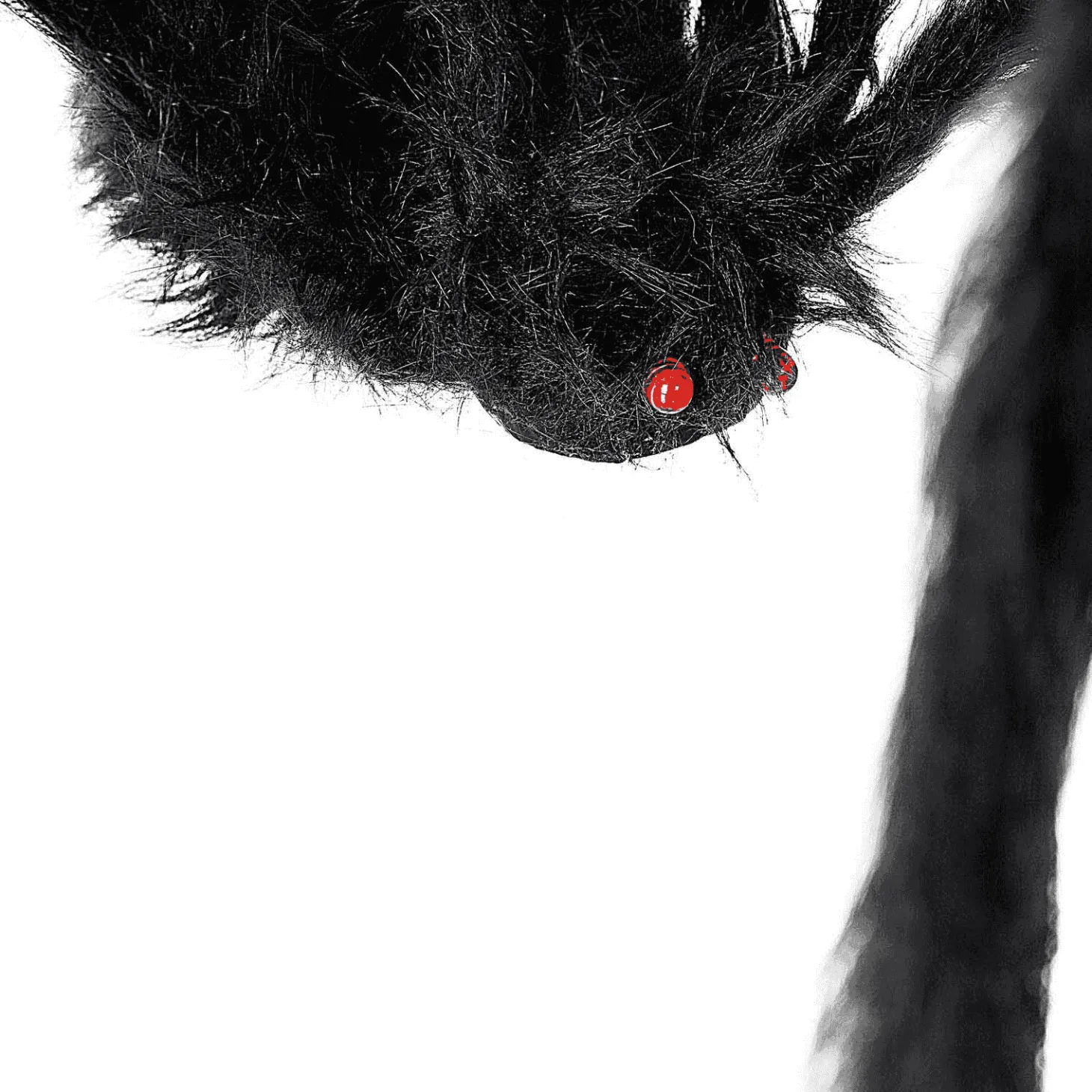 Araña Gigante para disfraz