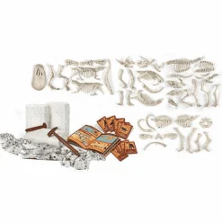 Arqueojugando Depredadores Y Presas