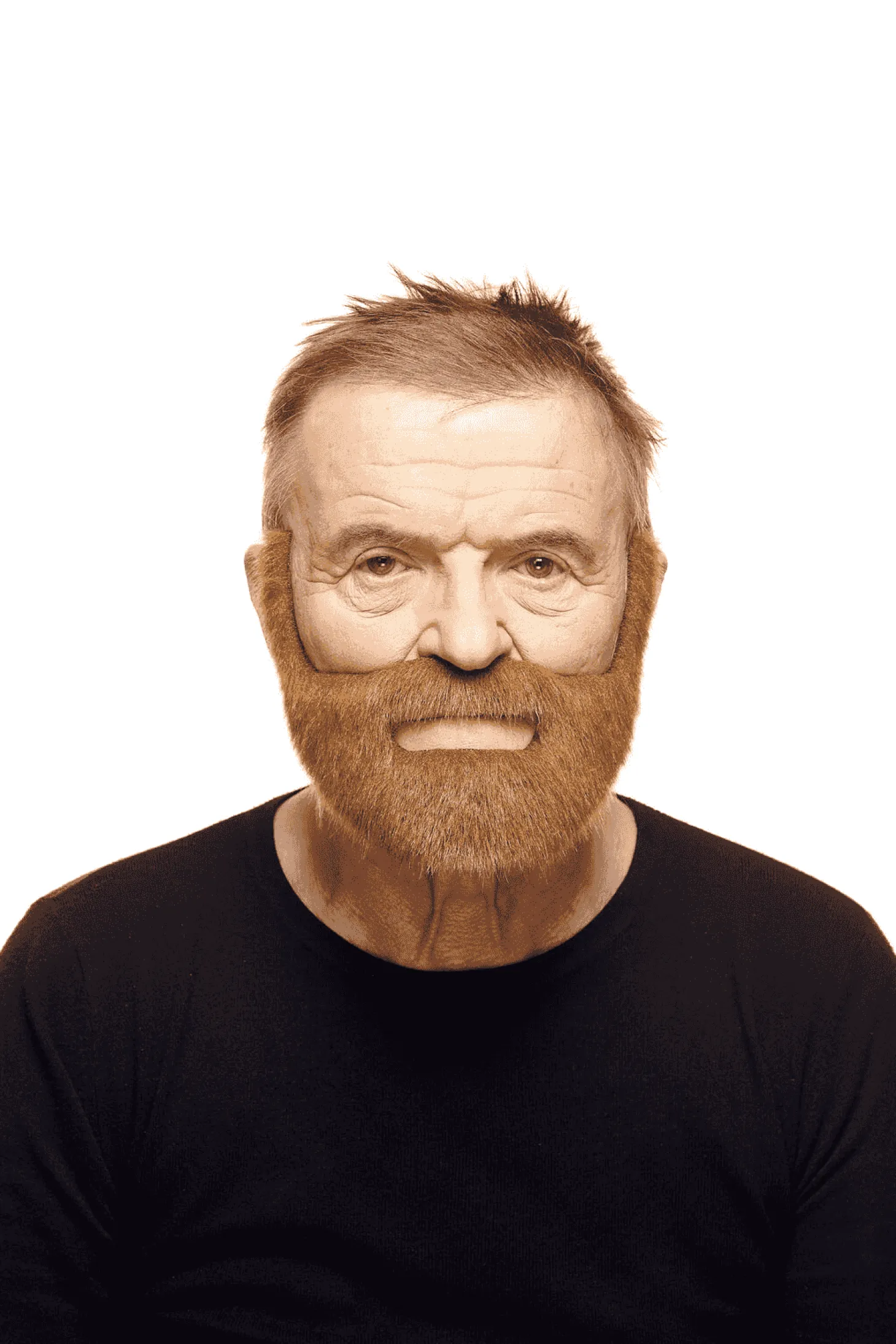 Bigote Barba para disfraz