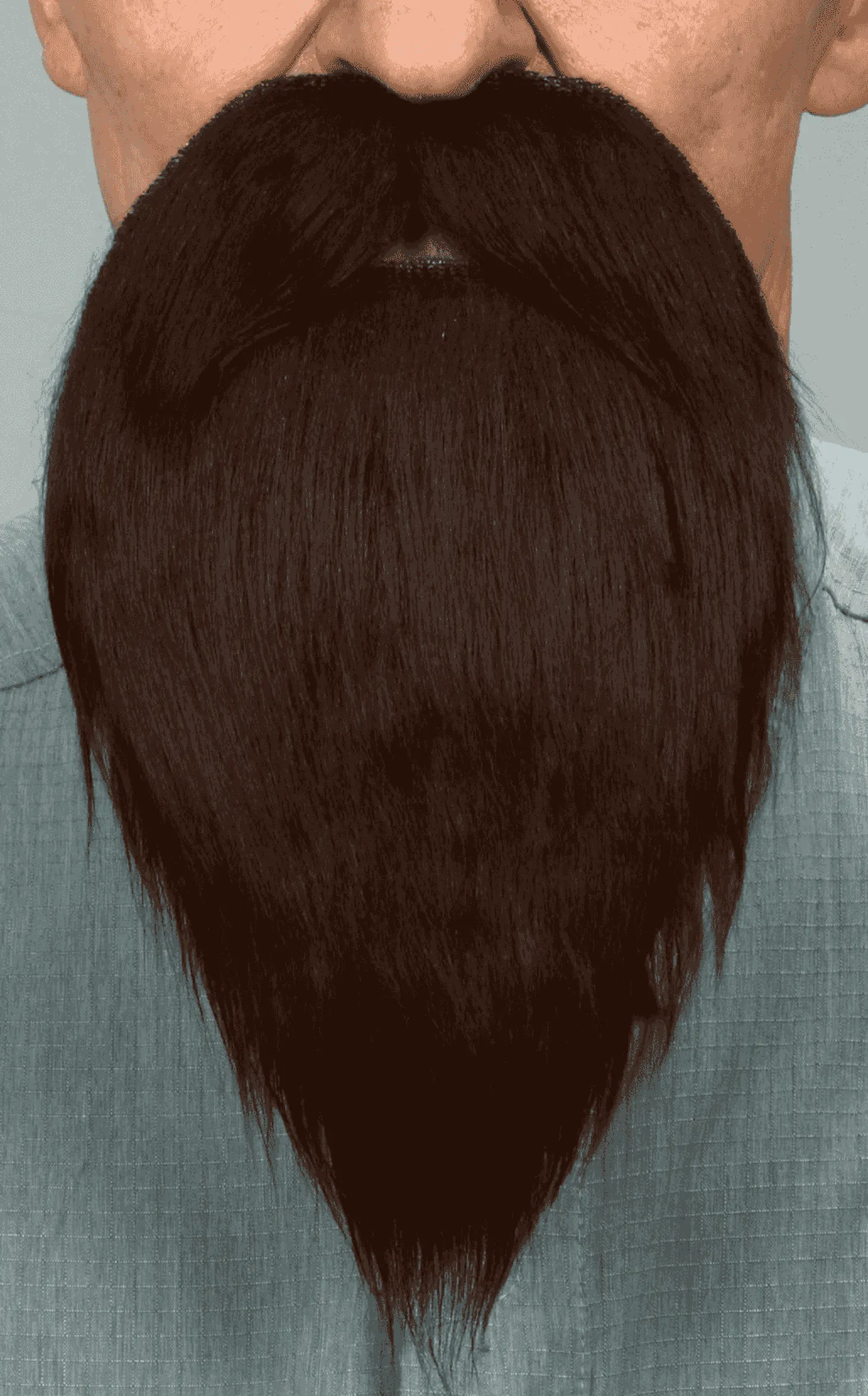 Bigote y barba para disfraz