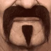 Bigote y perilla para disfraz