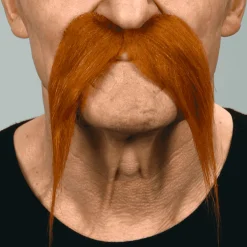 Bigotes para disfraz