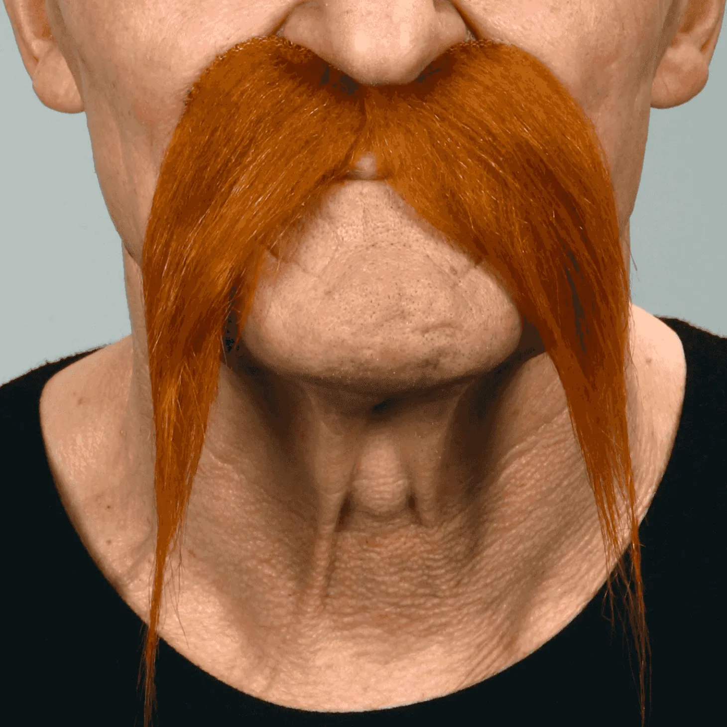 Bigotes para disfraz