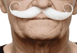 Bigotes para disfraz