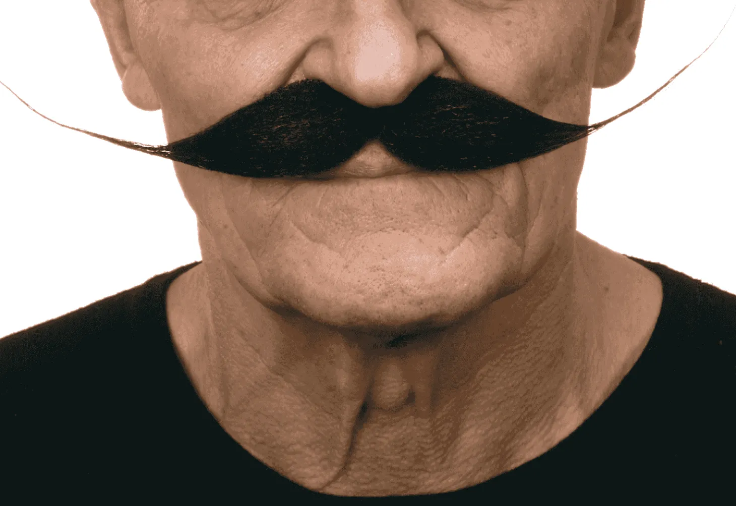 Bigotes para disfraz