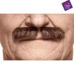 Bigotes para disfraz