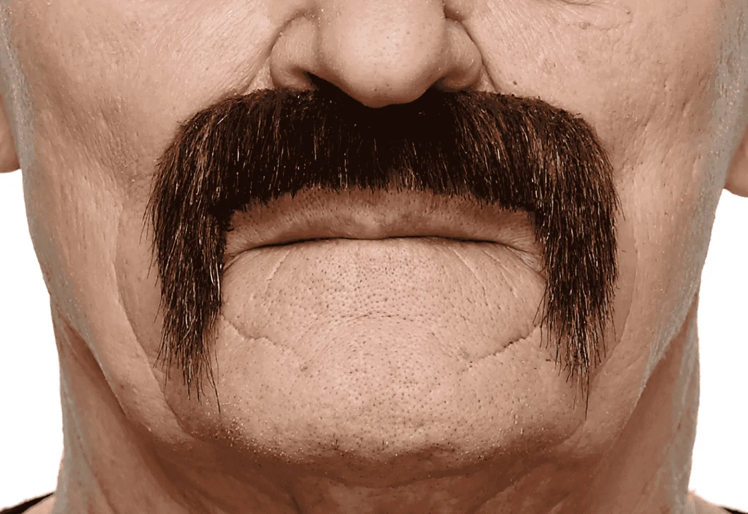 Bigotes para disfraz
