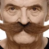 Bigotes para disfraz