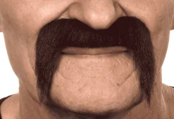 Bigotes para disfraz