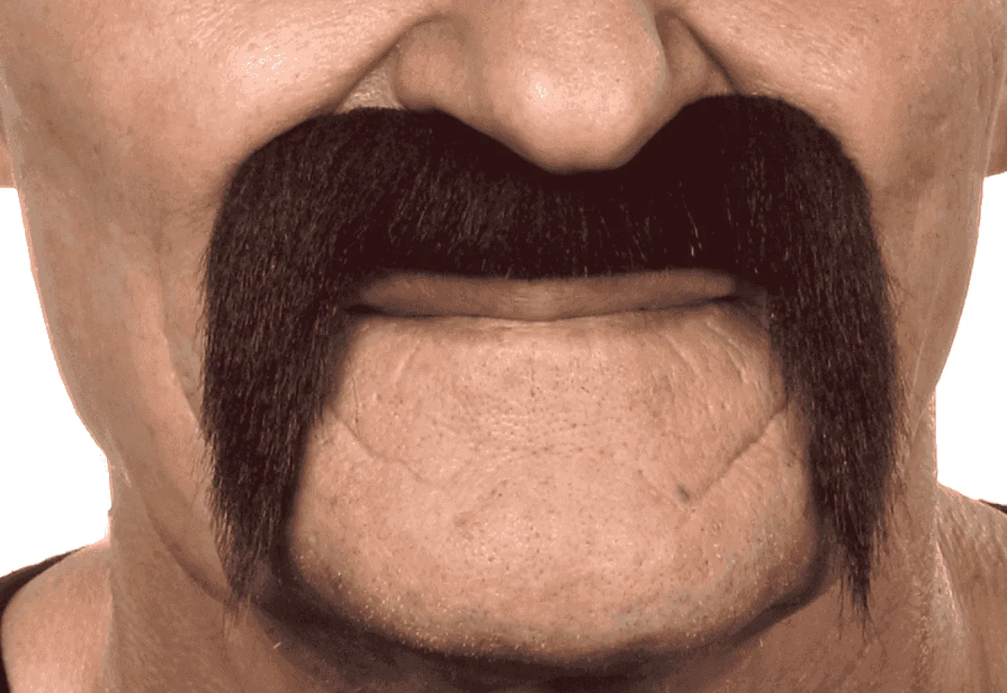 Bigotes para disfraz