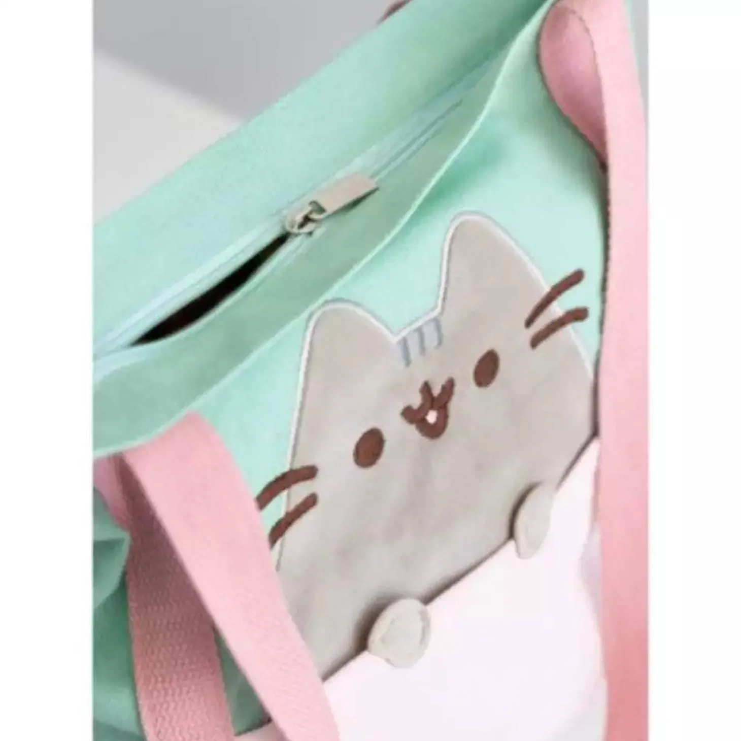 Bolso de Tela Premium Pusheen