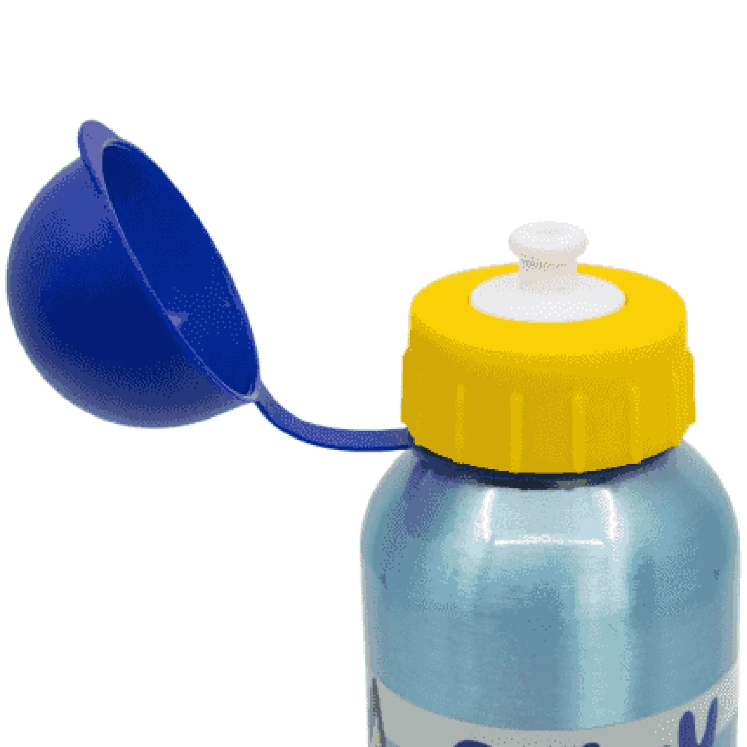 Botella de Aluminio Infantil 530 ml Bluey