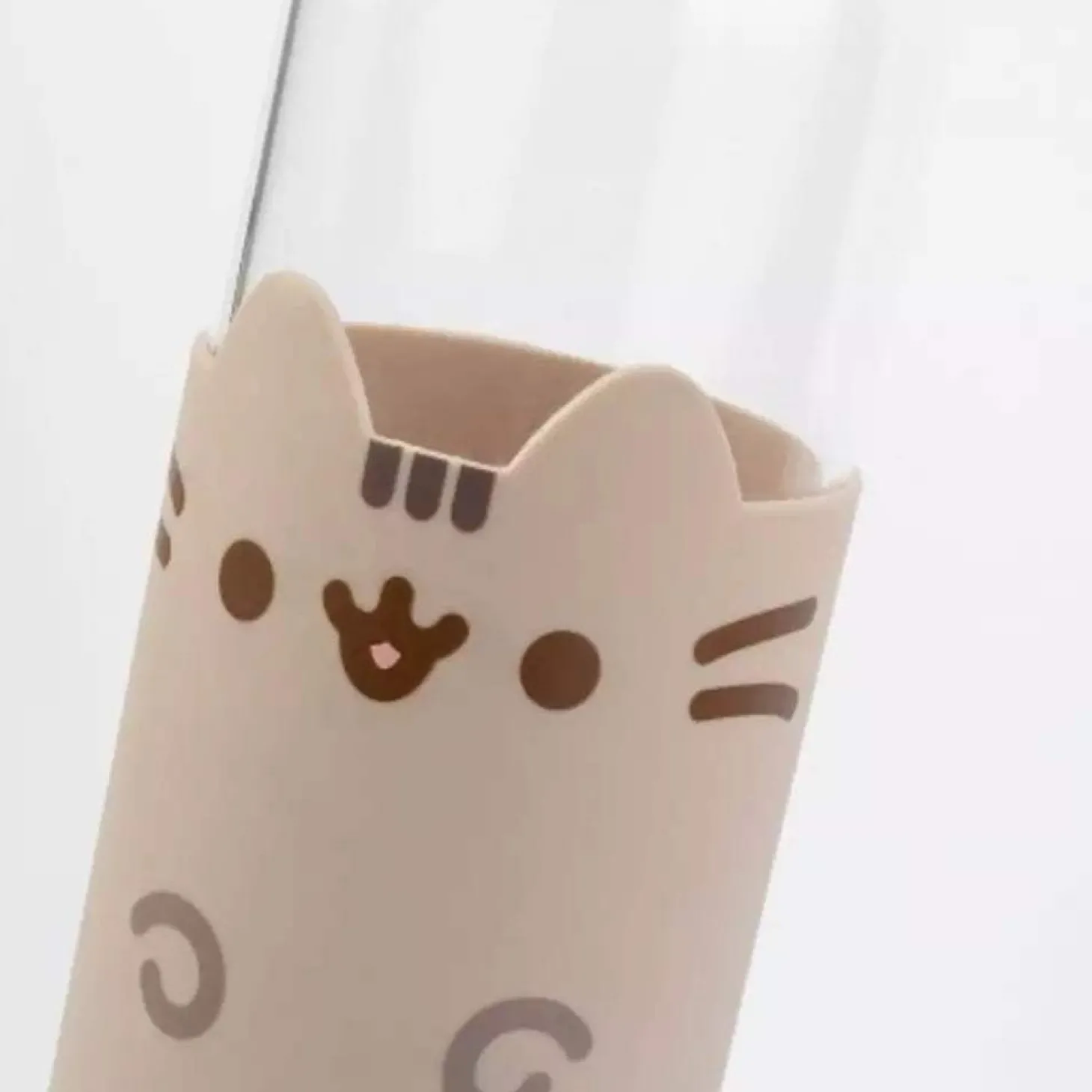Botella de Cristal Pusheen 500ml