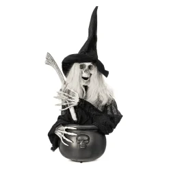 Bruja Con caldero para disfraz