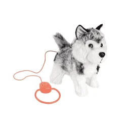 Cachorro Paseos Planet Pets