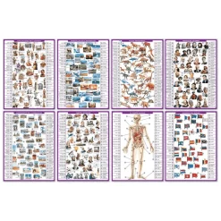 Conector Enciclopedia