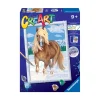 Creart Serie D Caballo