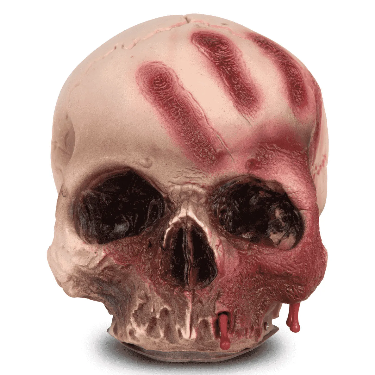 Cráneo Ensangrentado para disfraz