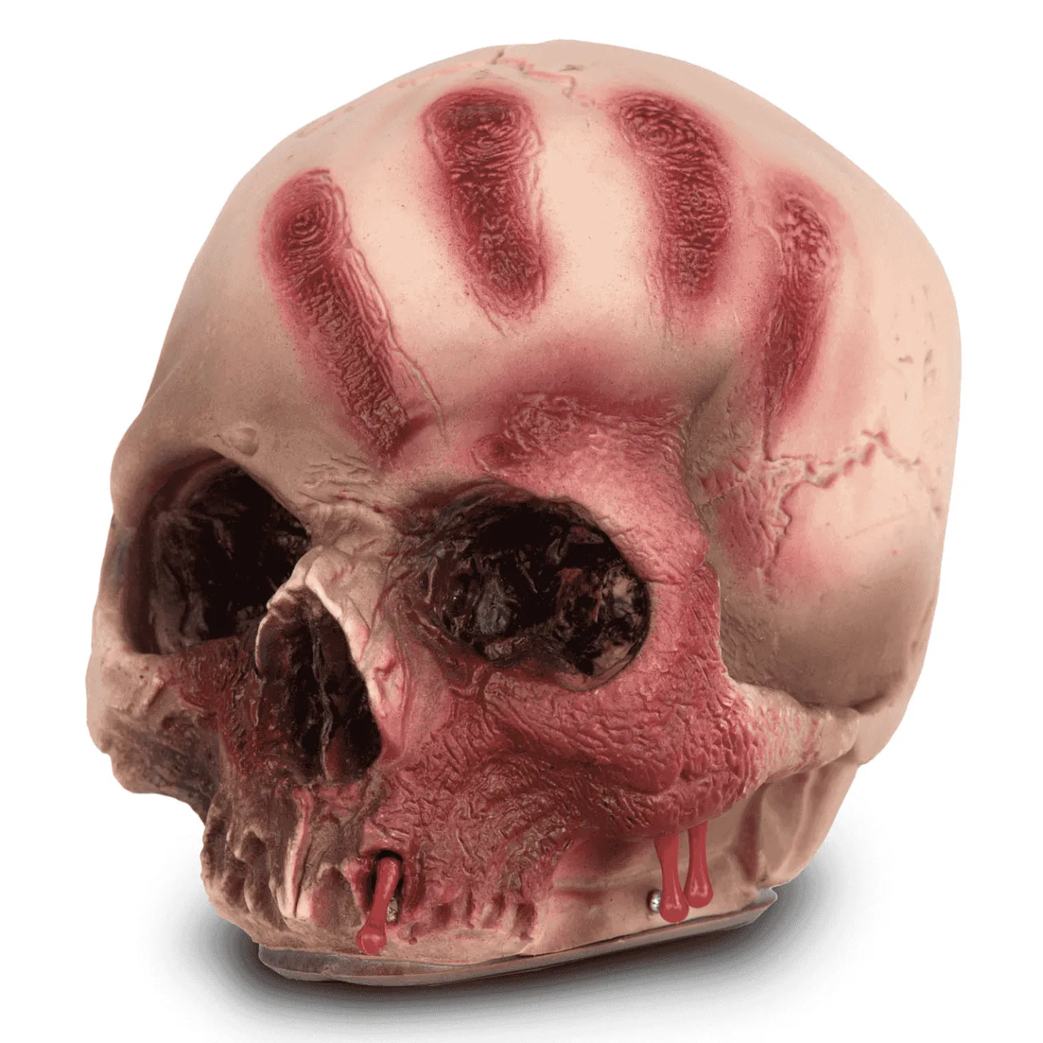 Cráneo Ensangrentado para disfraz