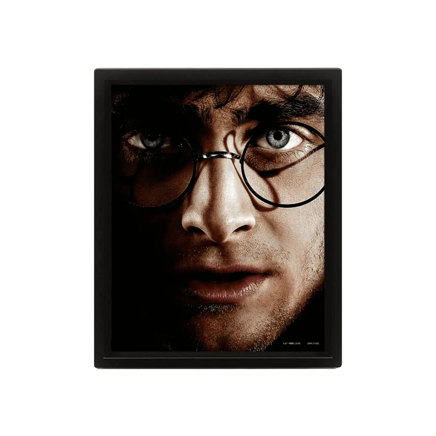 Cuadro 3D Harry Potter - Voldemort