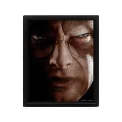Cuadro 3D Harry Potter - Voldemort