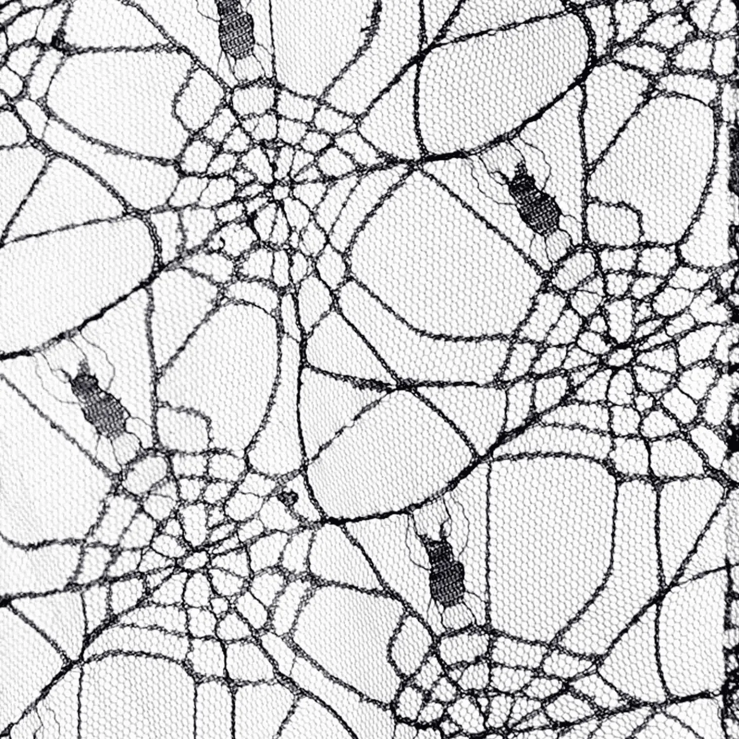 Disfraz de Bruja del aquelarre verde adulto talla L