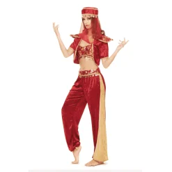 Disfraz de Odalisca ml adulto talla ML