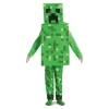 Disfraz Minecraft Creeper 7-8 años