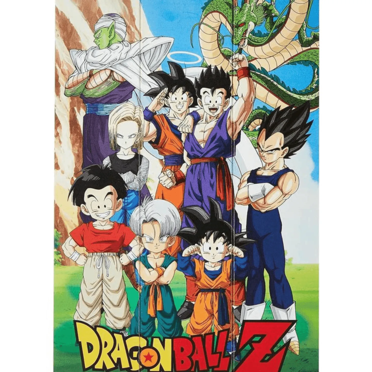 Dragon Ball Z - Panel 'Unbreakable Bonds' 20x29.5 cm