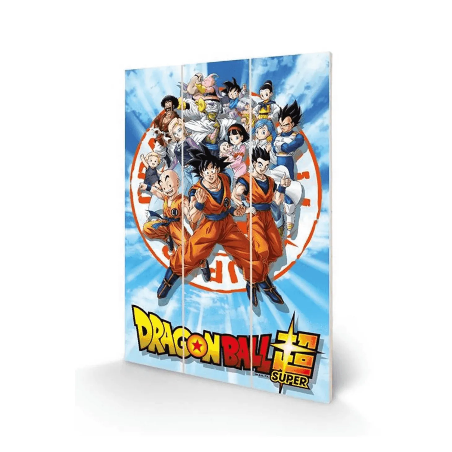 Dragon Ball Z - Strength and Heart of a Hero Panel 20x29.5 cm