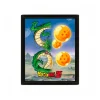Dragon Ball Z- Poster 3D Sheron Unleas