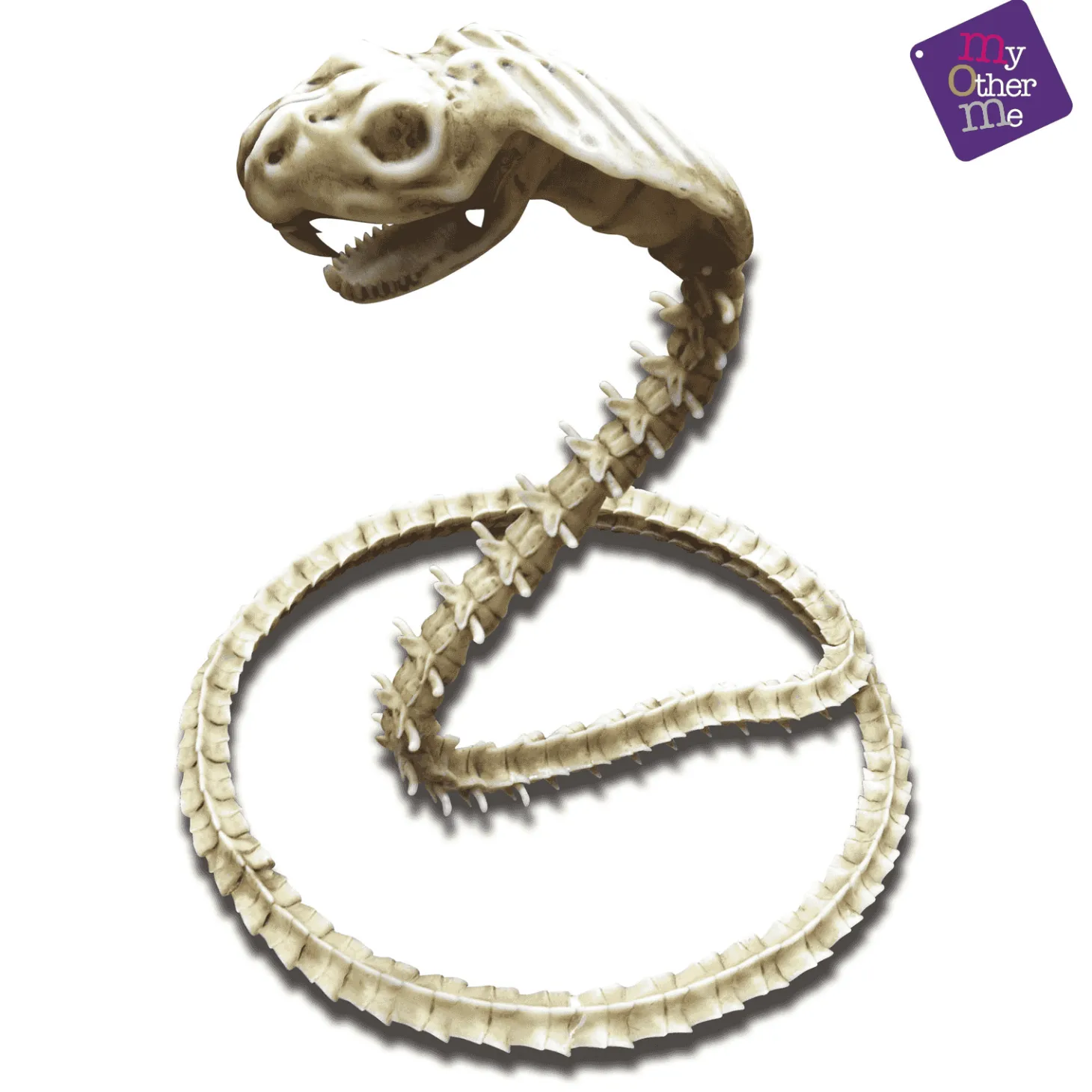 Esqueleto Cobra para disfraz