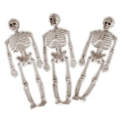 Esqueleto para disfraz