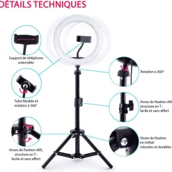 Estudio de Creación