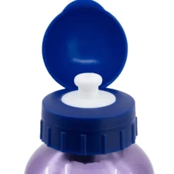 Frozen Botella De Aluminio 530 Ml