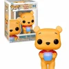 Funko Pop Disney Winnie Pooh: Figura coleccionable adorable