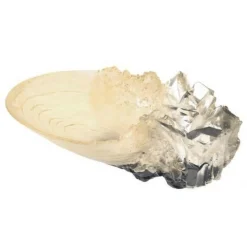 Harry Potter Réplica Copa de Cristal