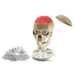 Juego Educativo Anatomía