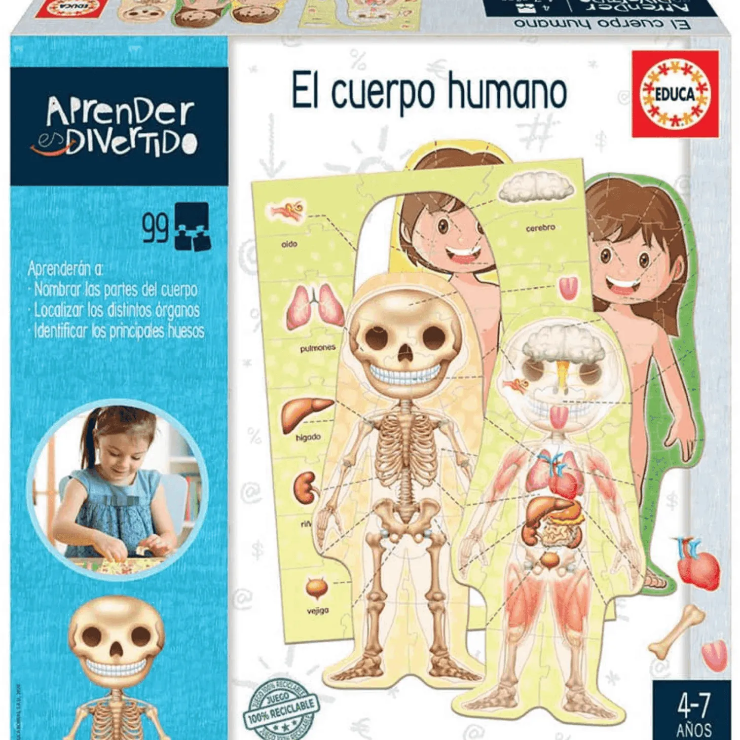 Juego El Cuerpo Humano | Aprender es Divertido
