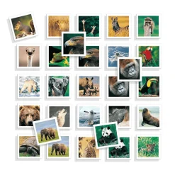 Juego Memoria Meto Photo Animales