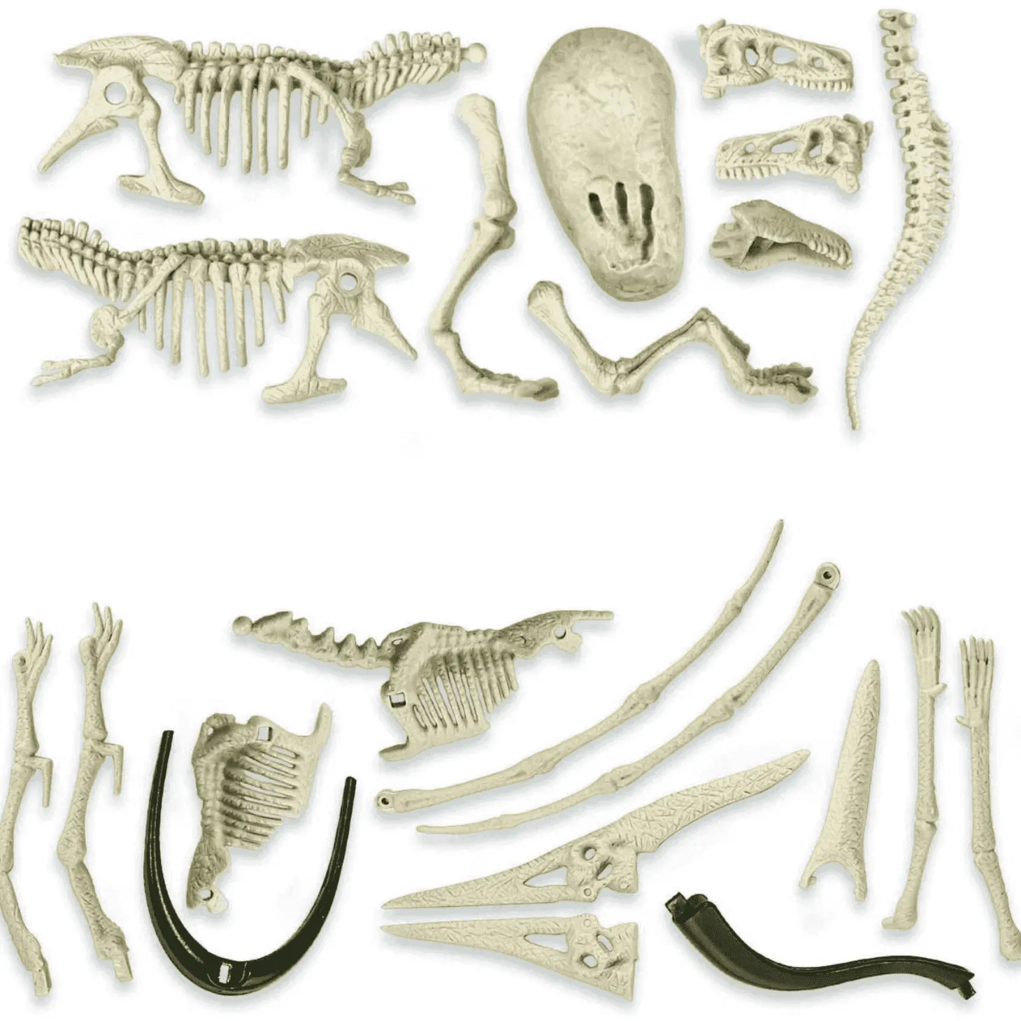 Kit de excavación: T-Rex y Pteranodon