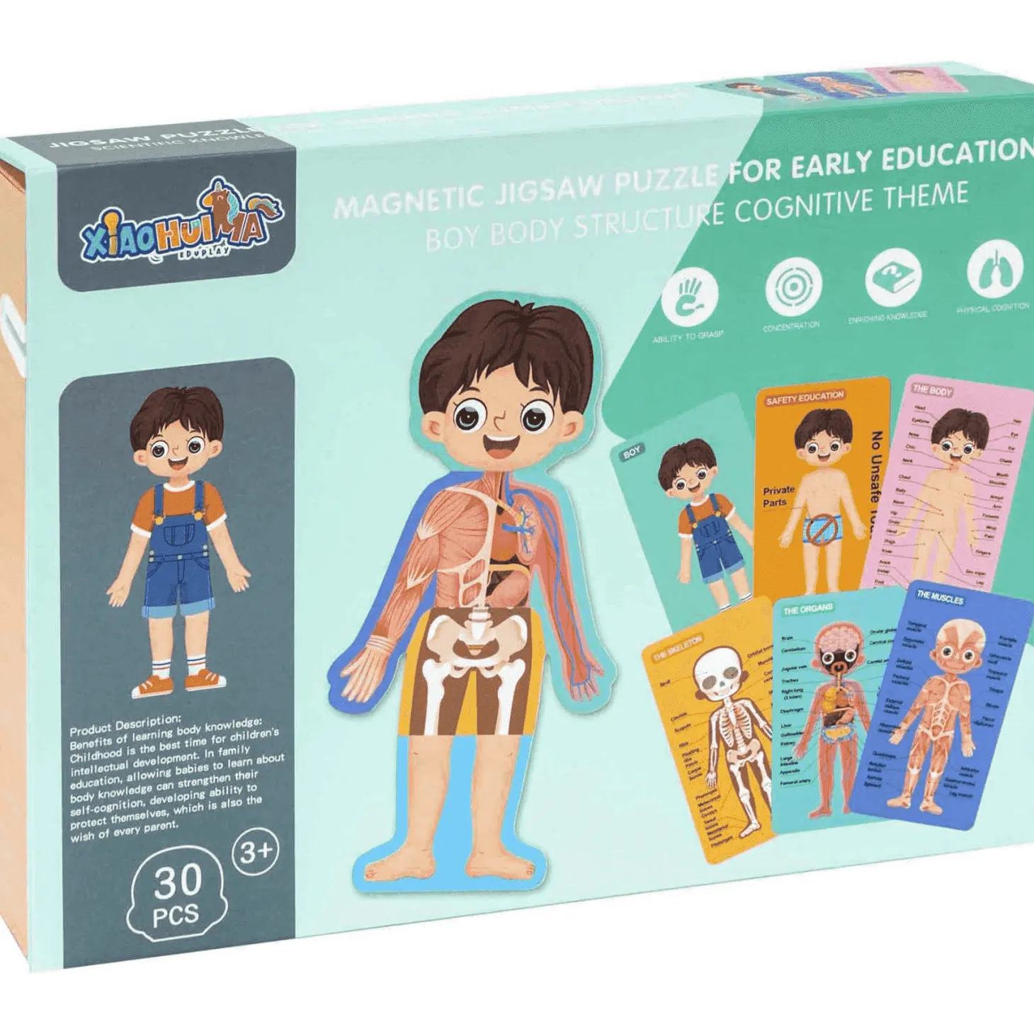 Maletín de Aprendizaje El Cuerpo Humano