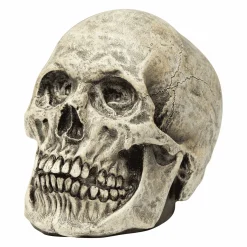 Máscara Calavera humano para disfraz