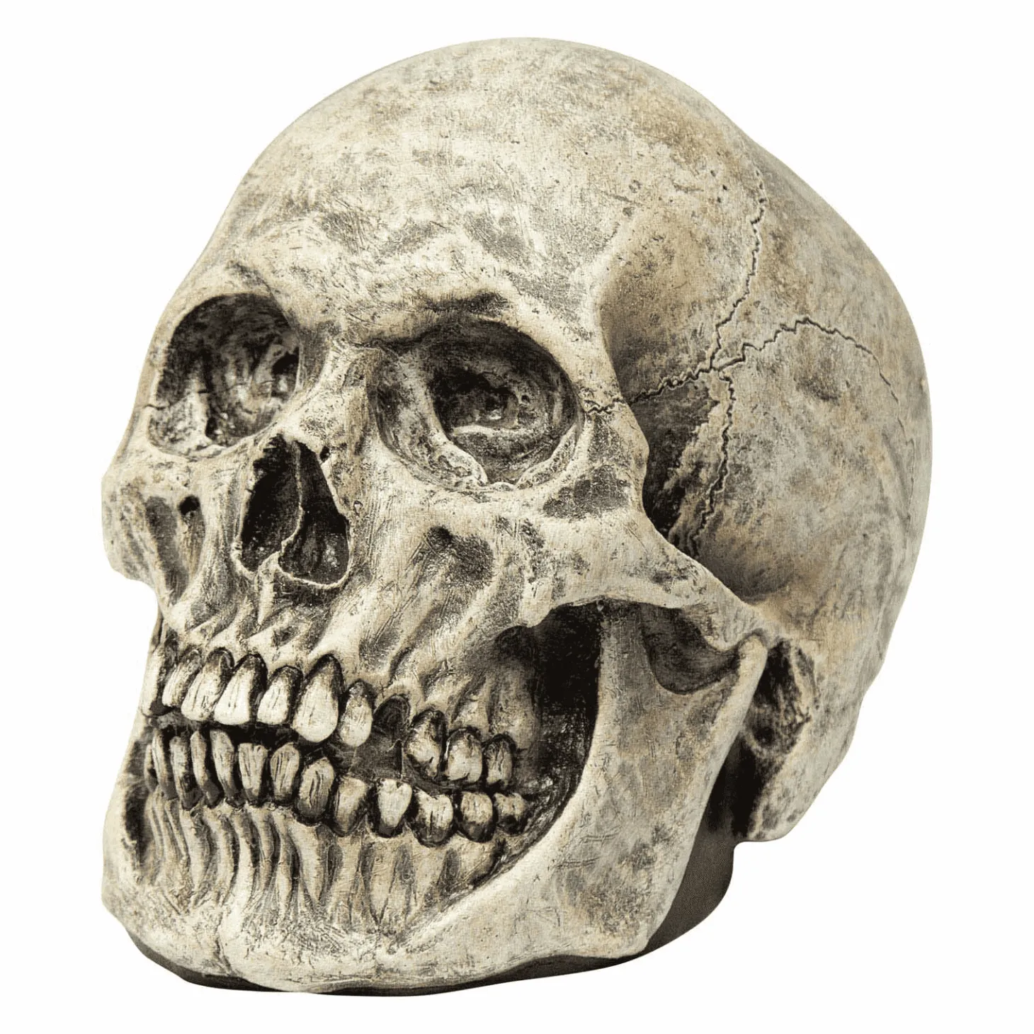Máscara Calavera humano para disfraz