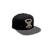 ONE PIECE - Gorra Snapback - Negra y Gris - Calavera