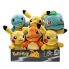 Pokemon Peluche Terciopelo DX 21Cm Surtido
