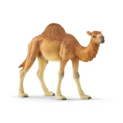 Schleich Figura Dromedario