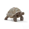 Schleich Figura Tortuga Gigante