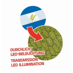 Set Telescopio Más Microscopio Bresser